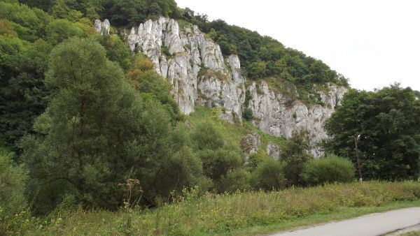 Ojcowski Park Narodowy - Widok na skały